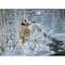 Royal & Langnickel® Whispering Winds Paint By Number Kit